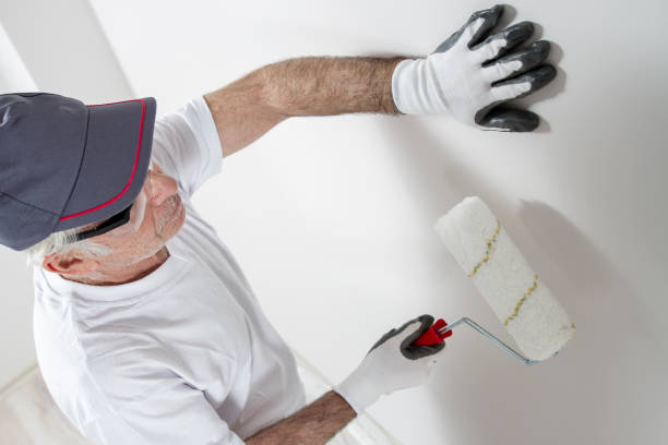 Best Mold Odor Removal Services  in Stacy, MN