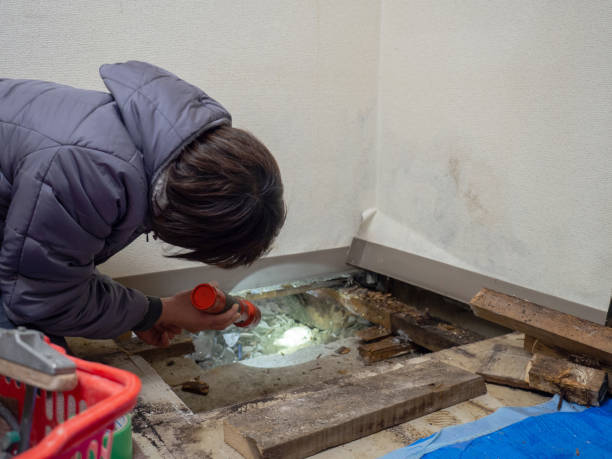 Best Comprehensive Air Testing for Mold Contaminants  in Stacy, MN