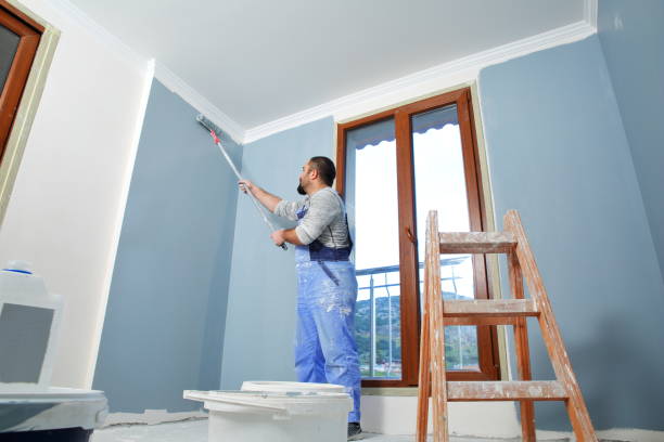 Best Mold Removal for HVAC Installations  in Stacy, MN
