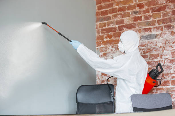 Best Mold Remediation for Healthcare Facilities  in Stacy, MN