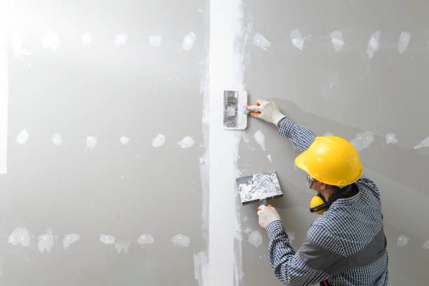 Best Air Quality Testing for Mold Spores  in Stacy, MN