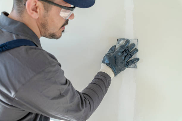 Best Residential Mold Inspection & Testing  in Stacy, MN