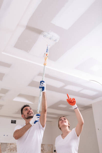 Best HVAC Mold Inspection and Cleaning  in Stacy, MN