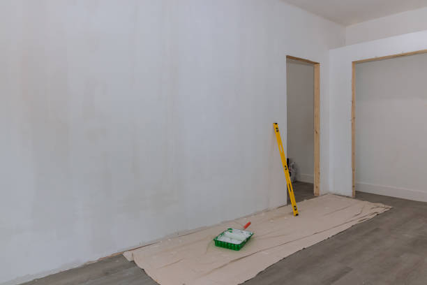 Best Dehumidification Services  in Stacy, MN