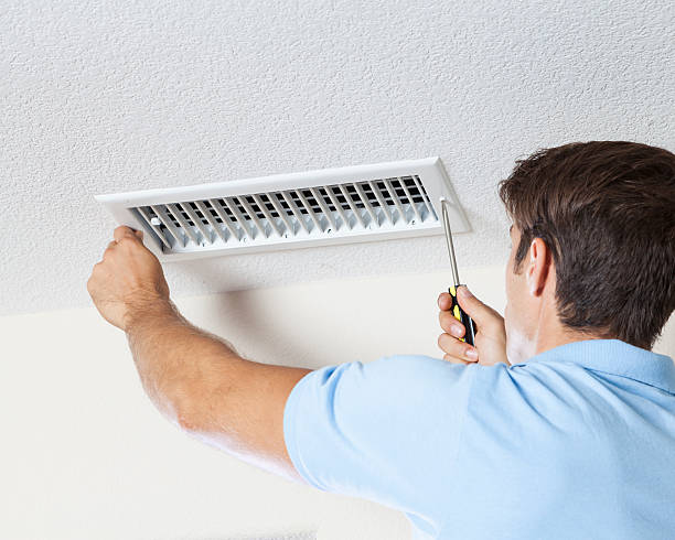 Best Mold Documentation for Insurance Claims  in Stacy, MN