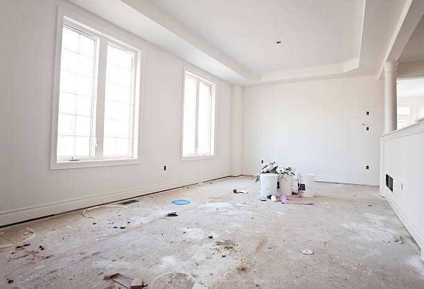 Best Mold Damage Restoration  in Stacy, MN