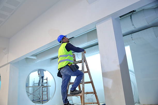  Stacy, MN Mold Removal Pros